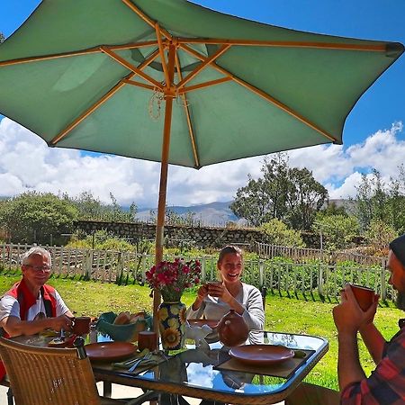 The Lazy Dog Inn A Mountain Lodge ワラス エクステリア 写真