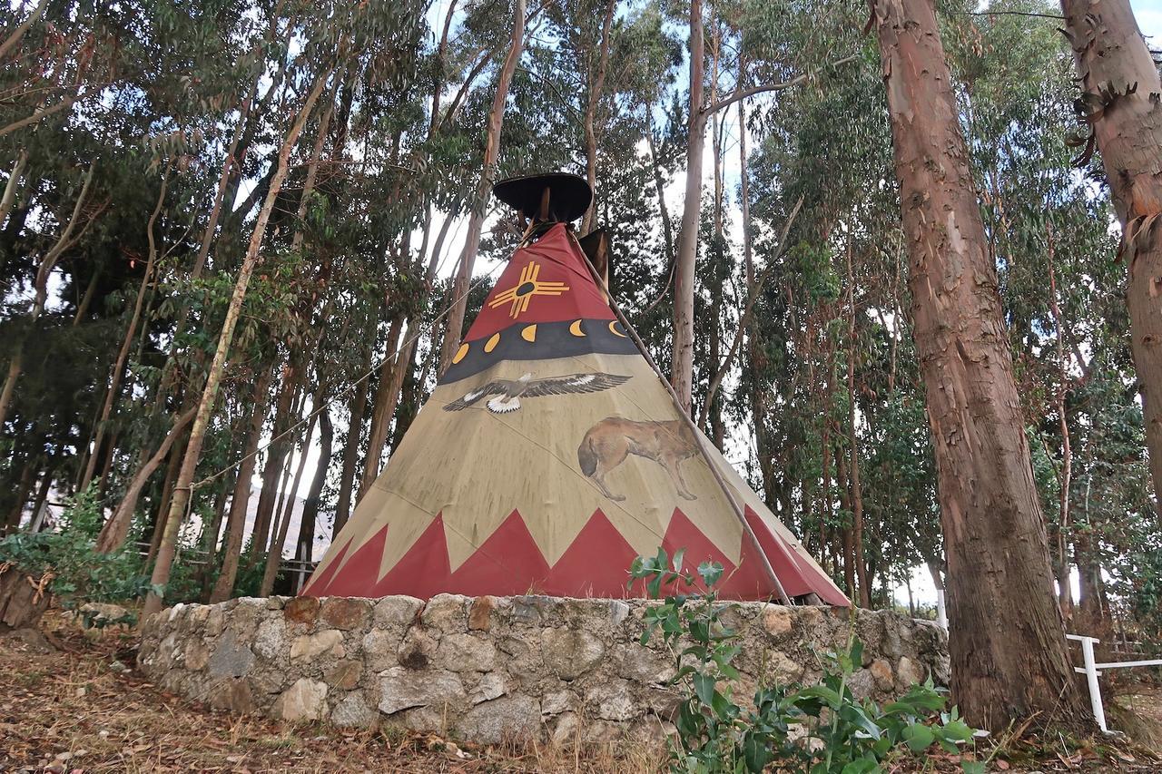 The Lazy Dog Inn A Mountain Lodge ワラス エクステリア 写真