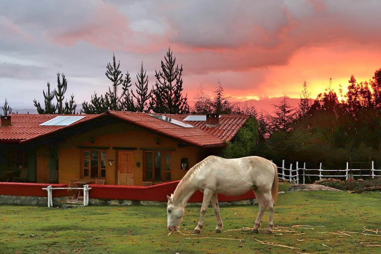 The Lazy Dog Inn A Mountain Lodge ワラス エクステリア 写真