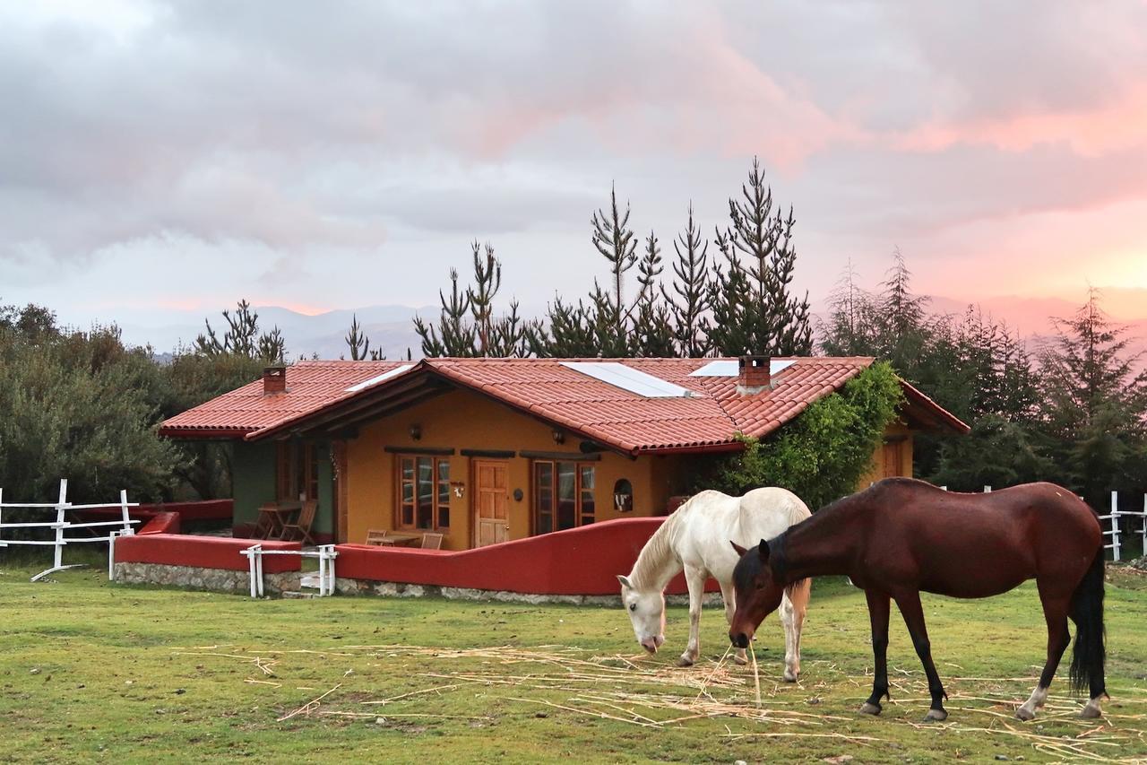 The Lazy Dog Inn A Mountain Lodge ワラス エクステリア 写真